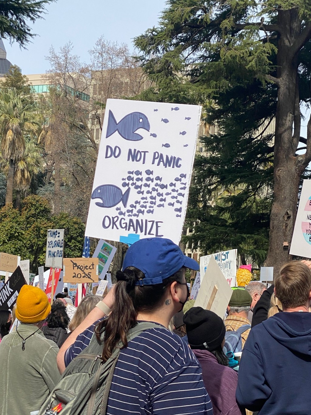 What I’m up to these days….